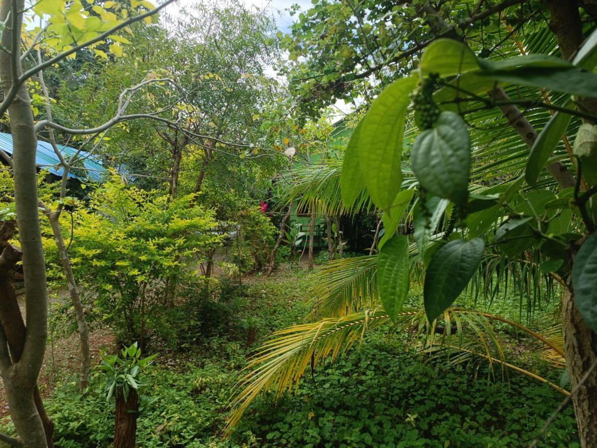 Forest Villa Nature Resort Anuradhapura Exterior foto