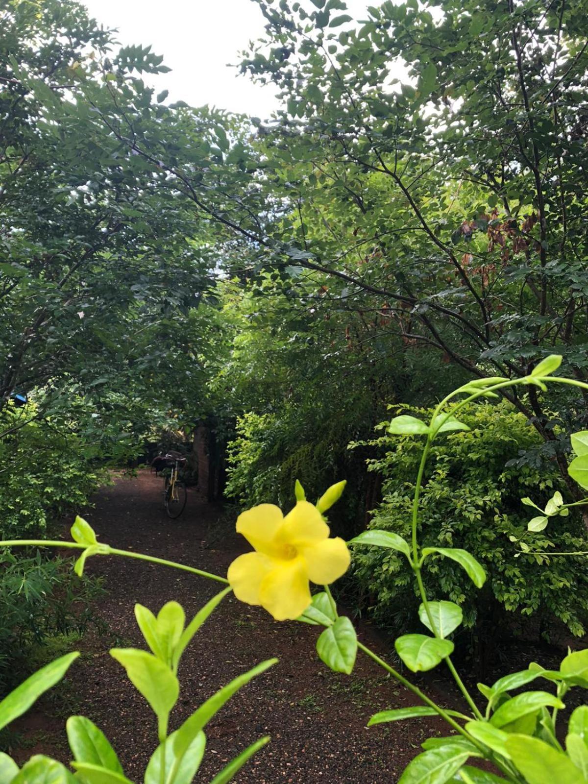 Forest Villa Nature Resort Anuradhapura Exterior foto