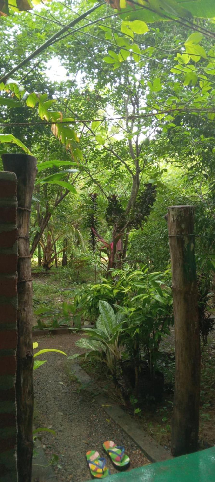 Forest Villa Nature Resort Anuradhapura Exterior foto