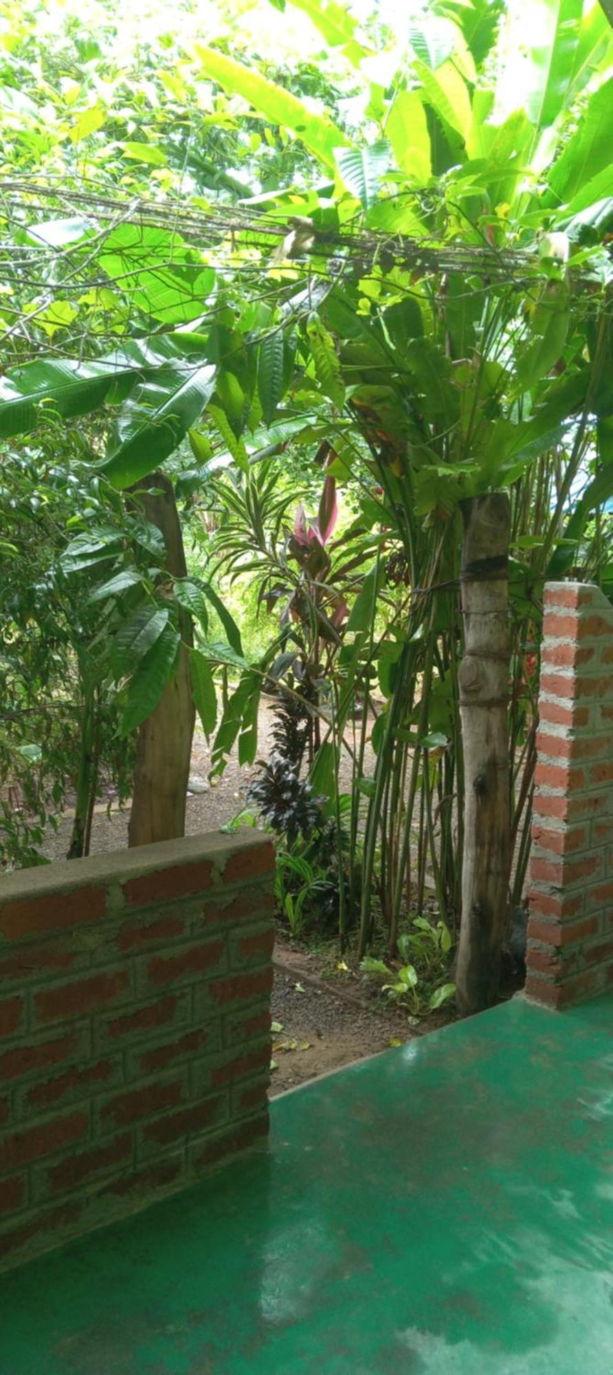 Forest Villa Nature Resort Anuradhapura Exterior foto