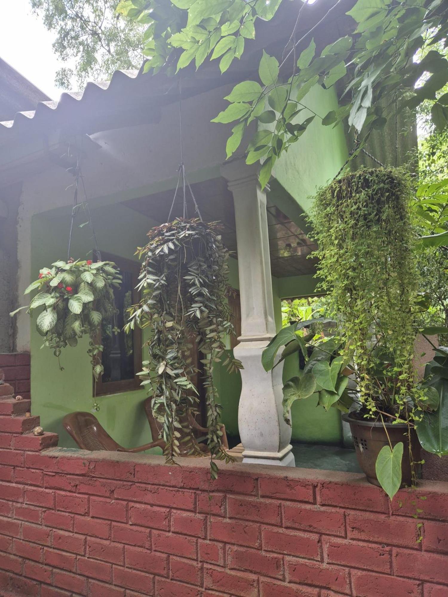 Forest Villa Nature Resort Anuradhapura Exterior foto